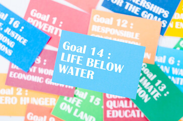 The Goal 14 : Life below water. The SDGs 17 development goals environment. Environment Development...