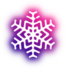 Collection of snowflake neon