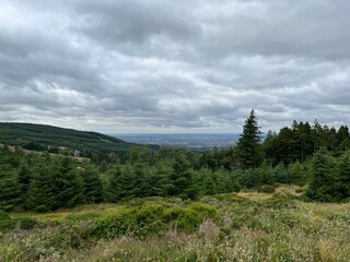 Summer in Ireland