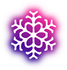 Collection of snowflake neon