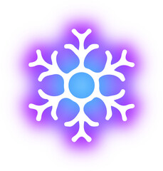 Collection of snowflake neon