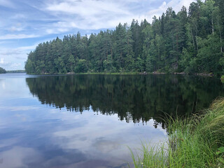 Fototapeta na wymiar Lake in a forest in Sweden. The trees are reflected in the lake. Cloudy day in summer season.