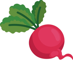 radish healthy food