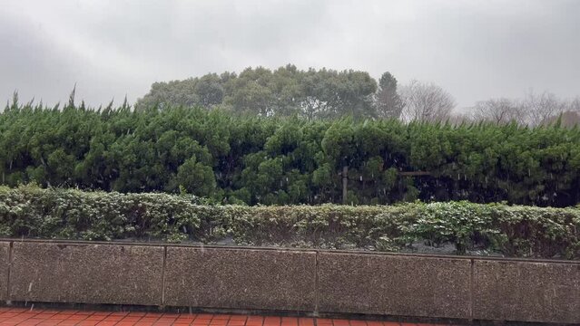 都会に降る雪。