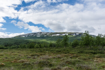 Fototapeta na wymiar Landscape of Abisko National Park, Sweden