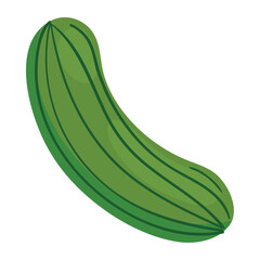 cucumber healthy food