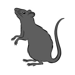 silhouette of a rat