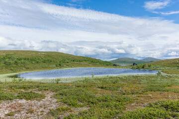 Fototapeta na wymiar Landscape of Sarek National Park in Sweden