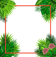 Fototapeta na wymiar lea,palm,leaf frame, background ,rose illustration,green,nature