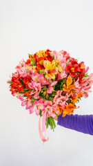 Close up of a bouquet of spring flowers multi-colored red, orange, pink alstroemeria on a white background. Flower delivery, customer, flower shop. gratitude. postcard, birthday