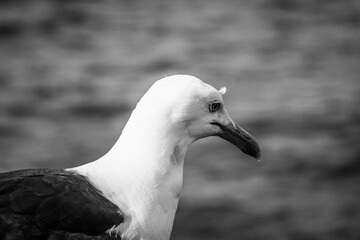 View of the city center of Stockholm, Sweden