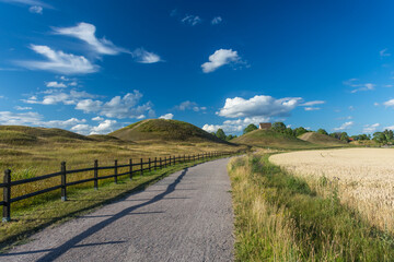 Fototapeta na wymiar Old burial ground viking site in the countryside of Uppsala, Sweden