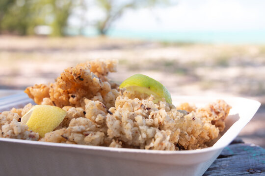 Closeup of a takeaway container filled with cracked conch, a tasty local seafood dish popular in the Caribbean, on Bambarra beach in Middle Caicos, Turks and Caicos Islands.