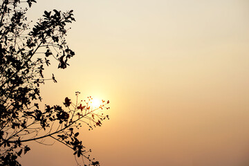 .Background of the setting sun in the evening