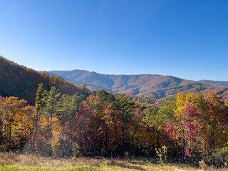 Fototapeta premium A view of the Blue Ridge Parkway in Boone, NC during the autumn fall color changing season.