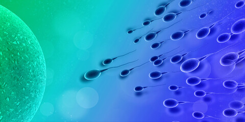 3d illustration showing sperms and egg