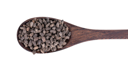 Borage seeds in wooden spoon, isolated on a white background. Borago officinalis seeds. Top view.