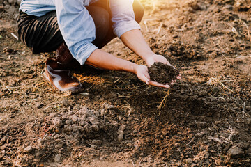 Asian woman and man farmer working together in organic hydroponic salad vegetable farm. using tablet inspect quality of lettuce in greenhouse garden. Smart farming