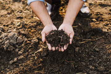 Asian woman and man farmer working together in organic hydroponic salad vegetable farm. using tablet inspect quality of lettuce in greenhouse garden. Smart farming