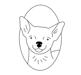 Vector isolated cute cartoon dog portrait in oval frame chihuahua  colorless black and white contour line easy drawing