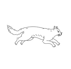 Vector isolated one cute cartoon shaggy jumping fox side view colorless black and white contour line easy drawing