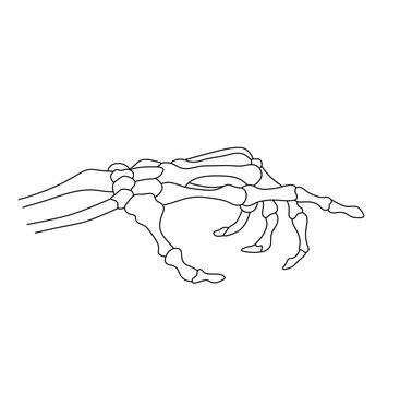 Vector isolated one single dead man hand skeleton with pointing index finger colorless black and white contour line easy drawing