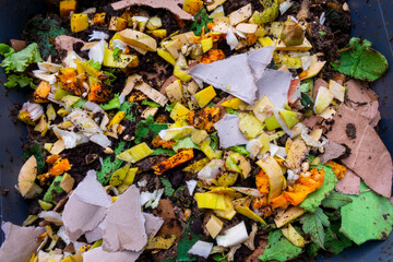 Close up of food waste and paper in a worm composter