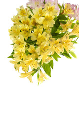 Delicate bouquet of yellow flowers alstroemeria. isolate. PNG