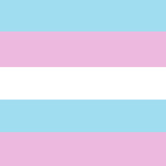 International Transgender Day of Visibility