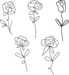 Rose liner art bundle