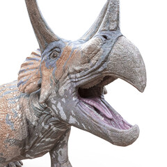 triceratops crying on white background © DM7
