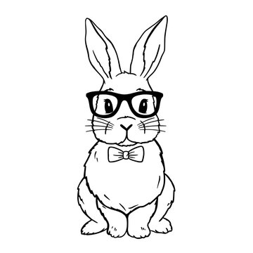 Cute Rabbit Line Art. Bunny with bowtie and glasses. Easter Bunny Boy. Bunny sketch vector illustration. Good for posters, t shirts, postcards.