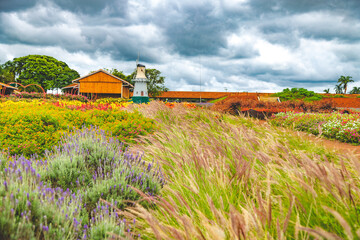 Paisagem campestre