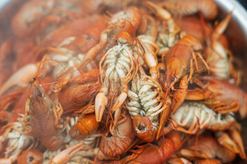 The process of cooking crayfish, a traditional snack for beer. Background, selective focus