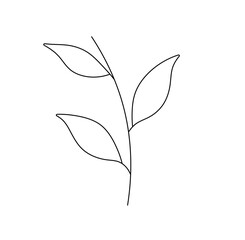 Vector isolated one single simplest branch twig with leaves colorless black and white contour line easy drawing
