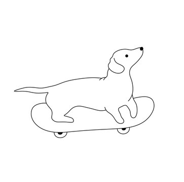 Vector isolated cute cartoon funny dog dachshund rides a skateboard colorless black and white contour line easy drawing