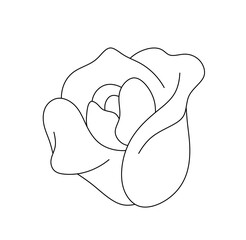 Vector isolated one small simple rose flower bud blossom colorless black and white contour line easy drawing
