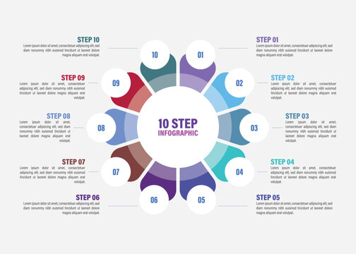 Business infographics. Vector flower chart with 5, 6, 7, 8, 9, 10 steps, options, processes, petals. Vector diagrams.