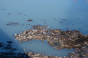 Lakes, once pristine sources of clean water, are now threatened by the relentless pollution caused...