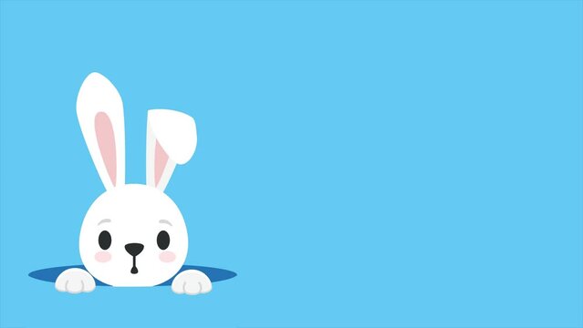Cute bunny looks out of a hole, 4K animation on a blue background. Hare, rabbit, bunny for Easter design