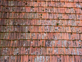 Old roof tile plates texture top view
