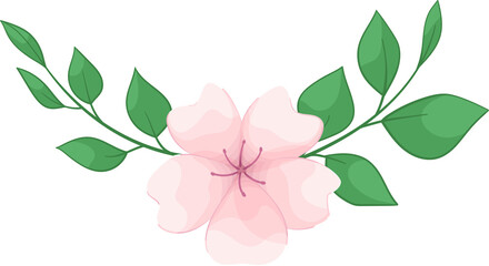 sakura composition © Deborah Soglia