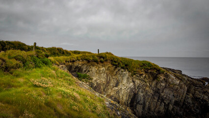 Fototapeta na wymiar Plants on the rocky shore of the Atlantic coast of Ireland on a cloudy summer day. Dramatic Irish landscape. Green grass field on hill under cloudy sky