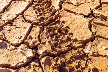 surface with cracked earth, desert earth