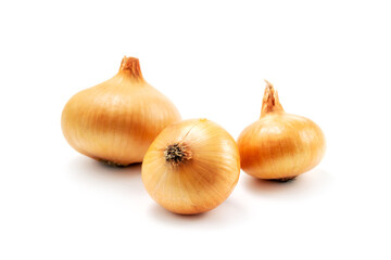 Fototapeta premium Fresh onion isolated on white background. Clipping Path Included