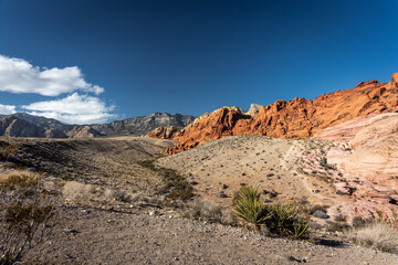 Landscape of the sandstone red rocks in Red Rock Canyon in Nevada