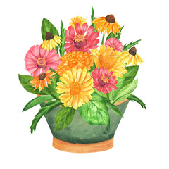 Hand-drawn watercolor garden pot with flowers