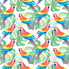 A pattern of macaws, monstera parrots. Tropical collage. Watercolor animals. Exotic birds. Yellow-green macaw parrot. Watercolor illustration.