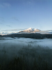 Green Trees in Forest with Fog and Mountains. Winter Sunny Sunrise. Canadian Nature Landscape Background. Near Squamish, British Columbia, Canada.