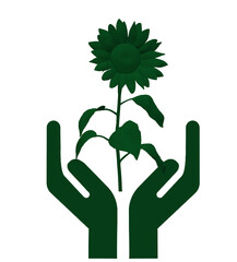 Obraz premium hand holding flower